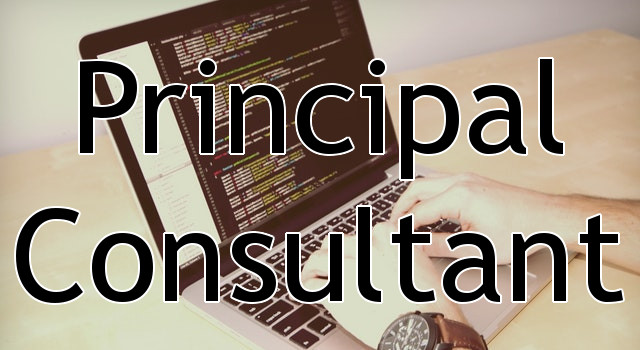 Principal Consultant